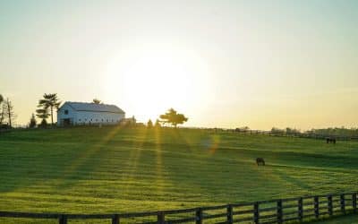 Discover the Best Place to Live in Kentucky